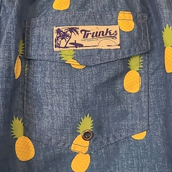 Trunks Surf & Swim Co Blue Pineapple Mens Sano Swim Shorts Size L - Picture 6 of 10